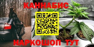 PSILOCYBIN Владикавказ