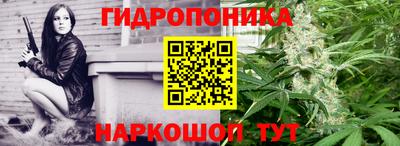 PSILOCYBIN Владикавказ