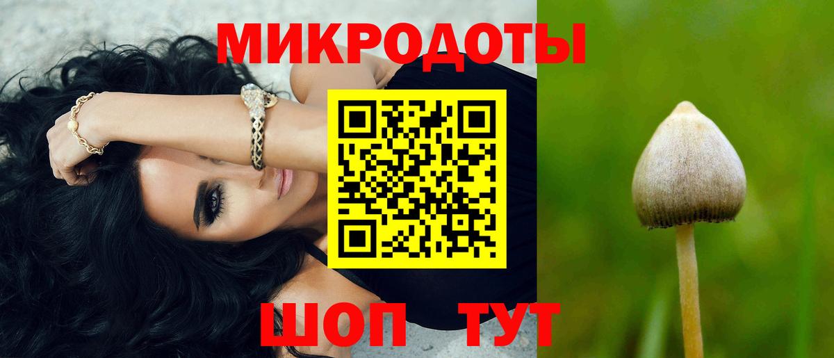 Псилоцибиновые грибы ЛСД Кандалакша